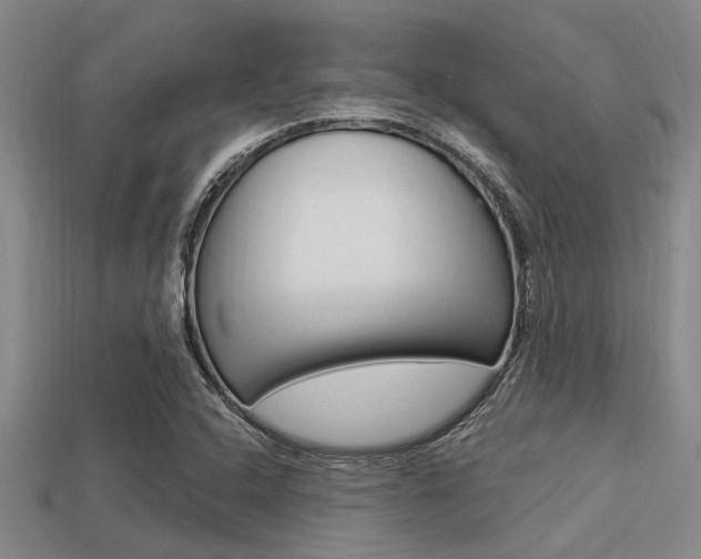 X0000113301408200909140936