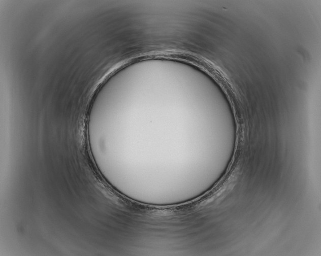 X0000113301409200909140936