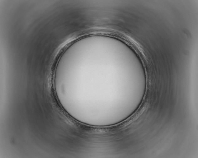 X0000113301411200909140936
