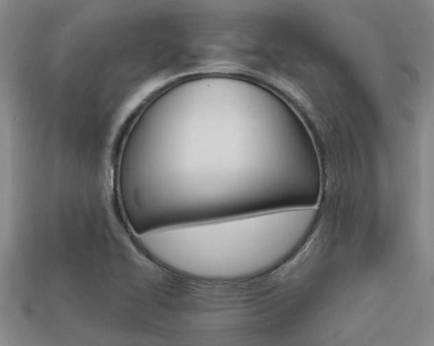 X0000113301414200909140936