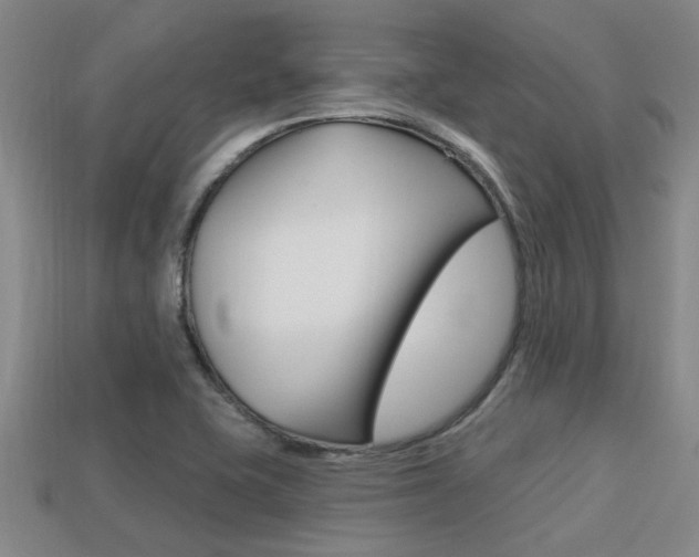 X0000113301415200909140936