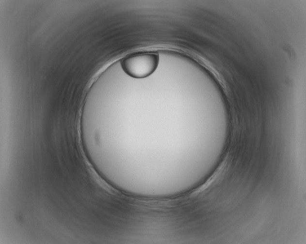 X0000113301417200909140936