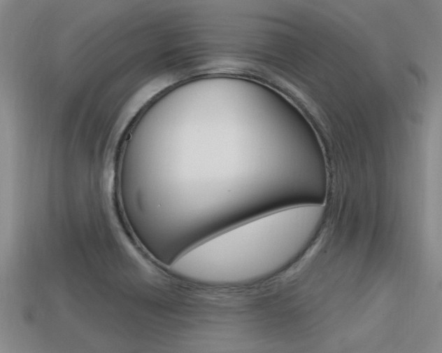 X0000113301418200909140936