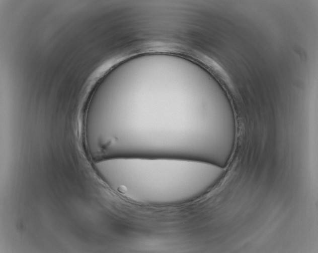 X0000113301419200909140936