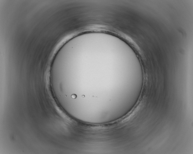 X0000113301421200909140936