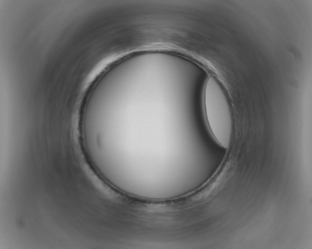 X0000113301422200909140936
