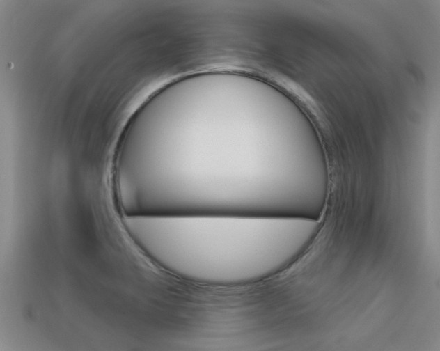 X0000113301423200909140936
