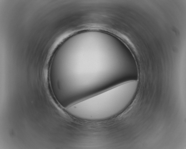 X0000113301424200909140936