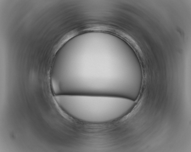 X0000113301425200909140936