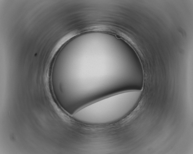 X0000113301426200909140936
