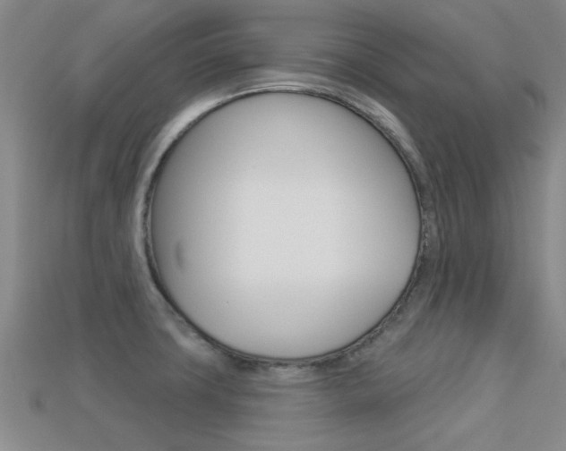 X0000113301427200909140936