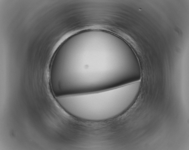 X0000113301428200909140936