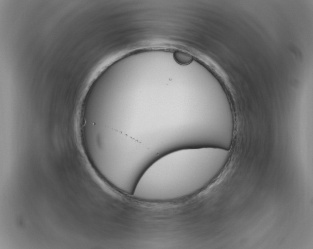 X0000113301429200909140936