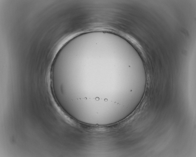 X0000113301431200909140936