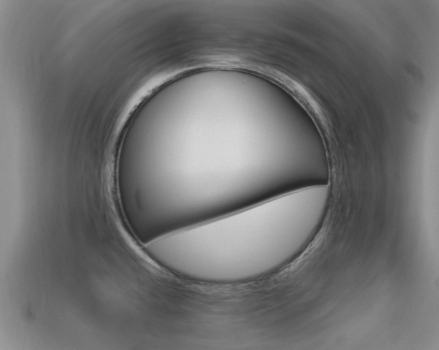 X0000113301432200909140936