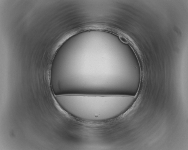 X0000113301433200909140936