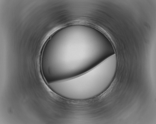 X0000113301434200909140936
