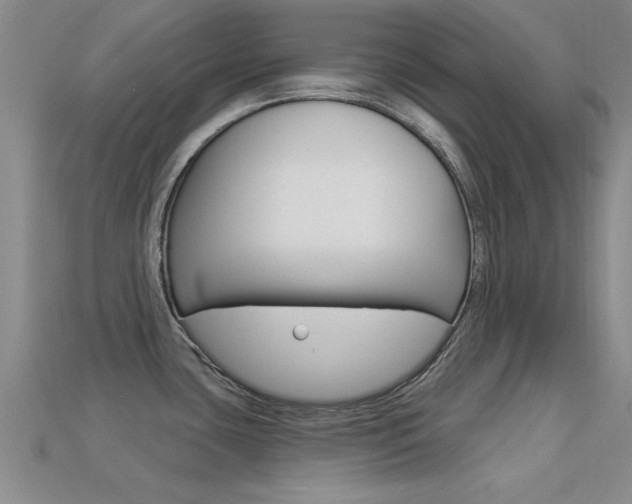 X0000113301435200909140936