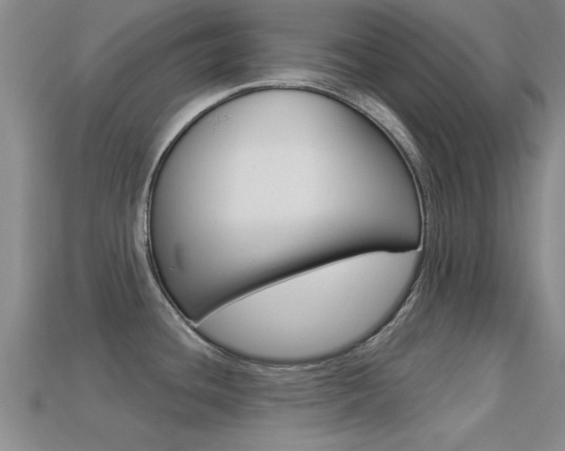 X0000113301436200909140936