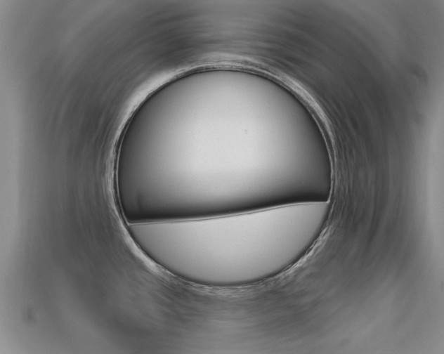 X0000113301437200909140936