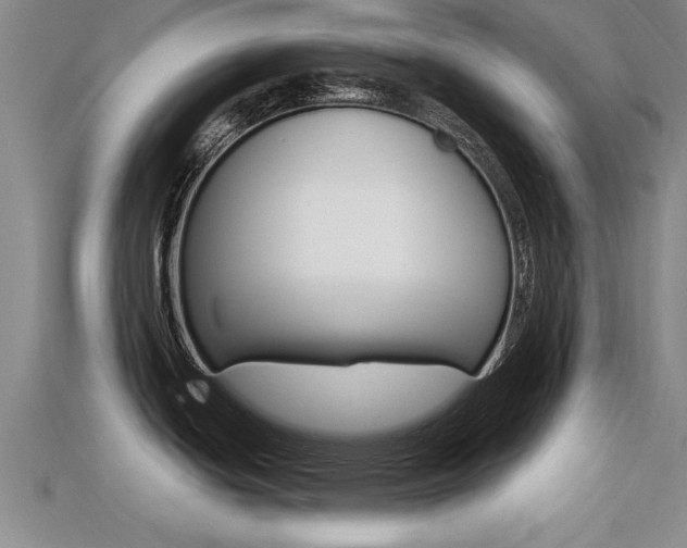 X0000113301439200909140936