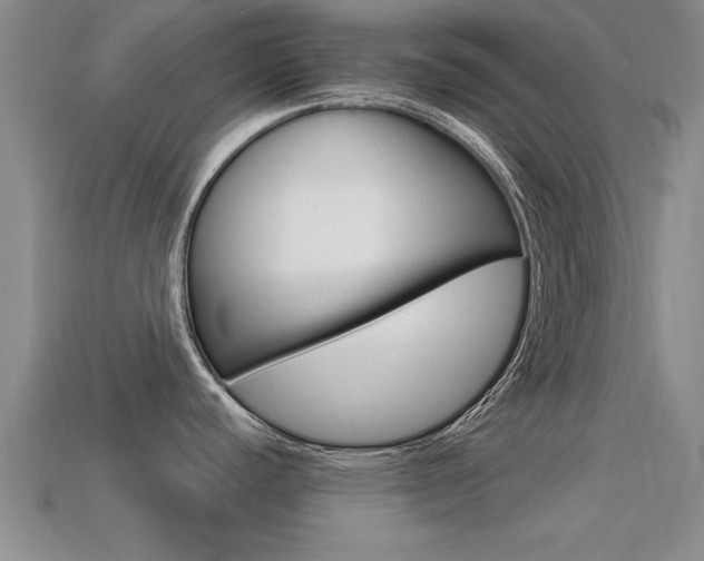 X0000113301440200909140936