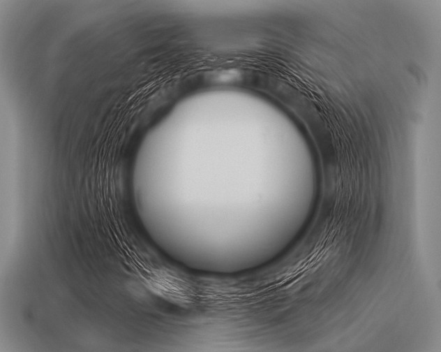 X0000113301442200909140935