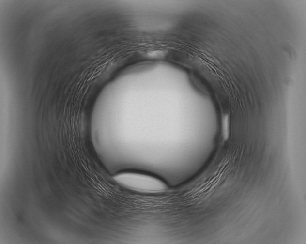 X0000113301443200909140935
