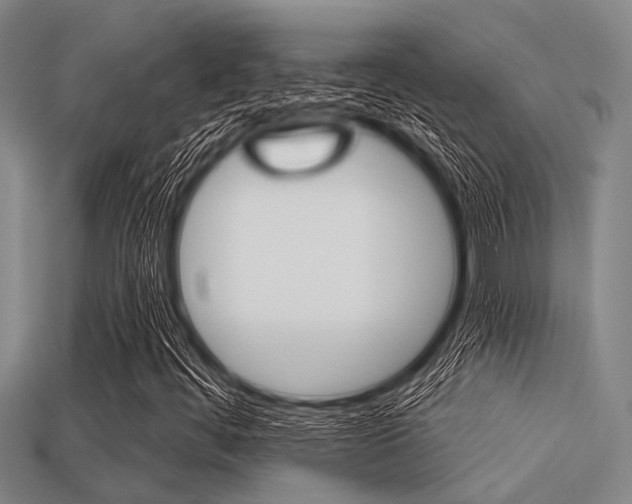 X0000113301444200909140935
