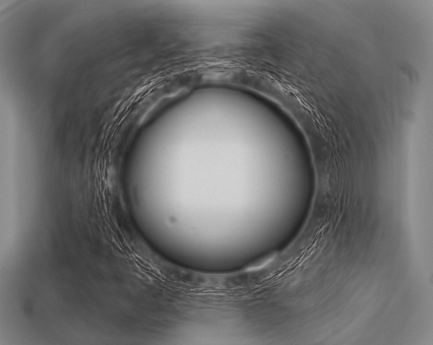 X0000113301445200909140935