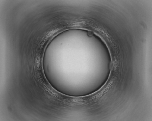 X0000113301449200909140935