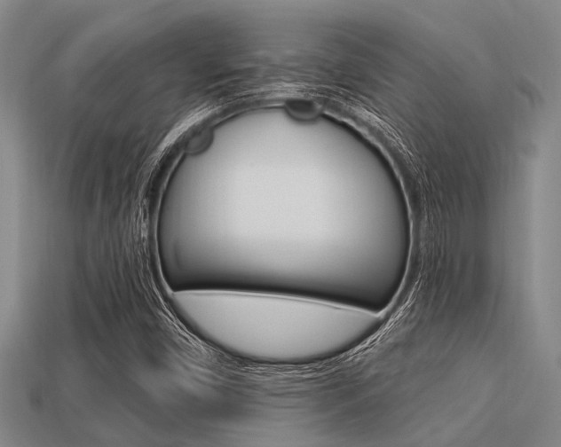 X0000113301450200909140935
