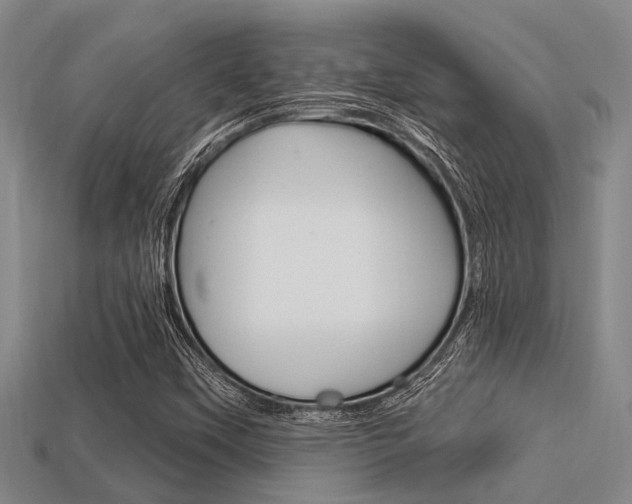 X0000113301451200909140935