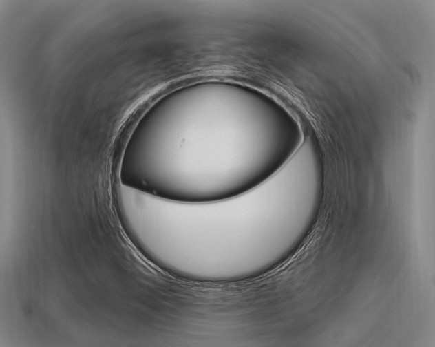 X0000113301452200909140935