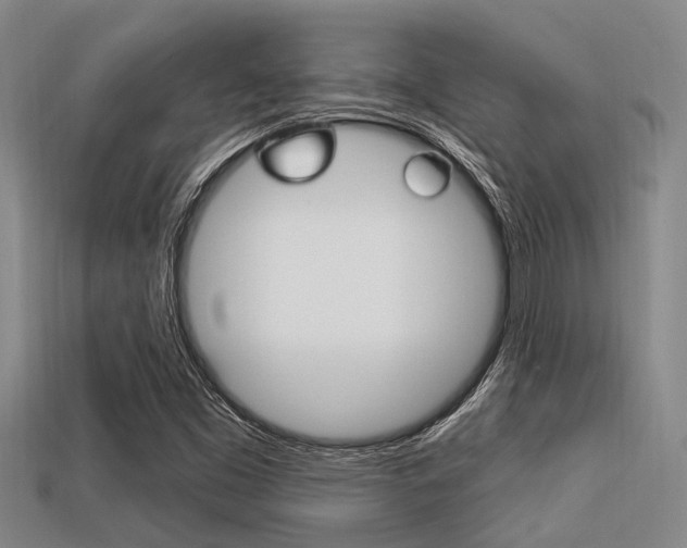 X0000113301453200909140935