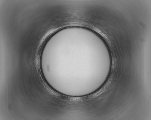 X0000113301454200909140935