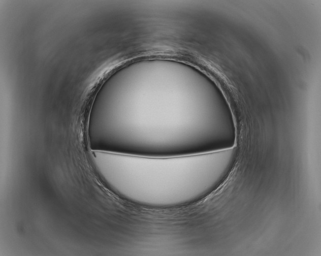 X0000113301455200909140935