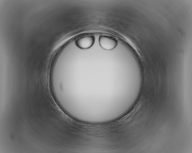 X0000113301456200909140935