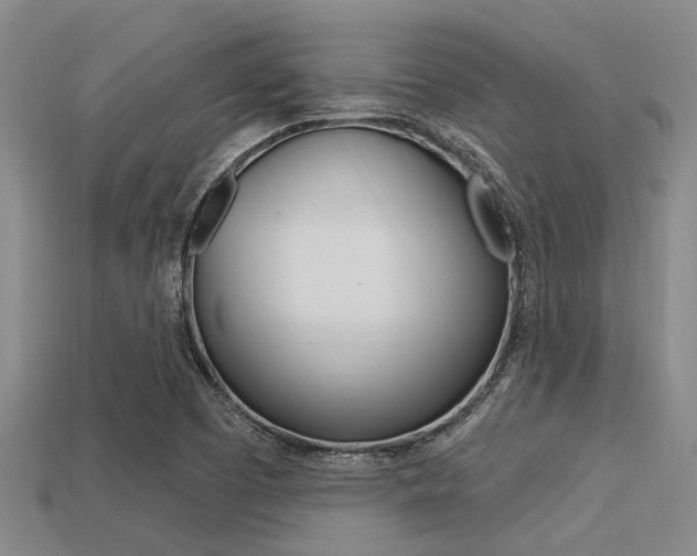 X0000113301457200909140935