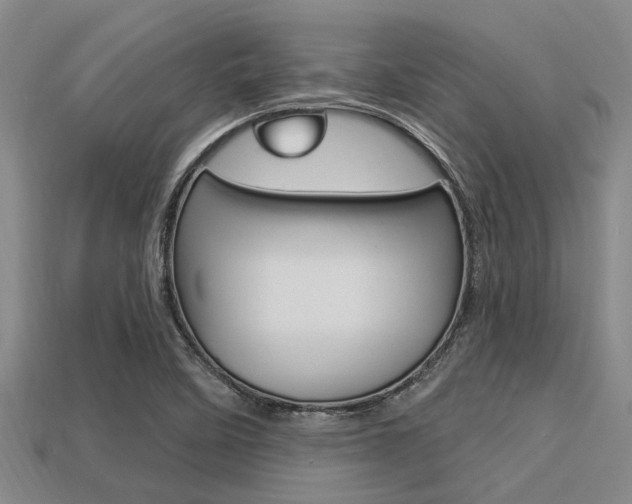 X0000113301458200909140935