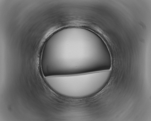 X0000113301459200909140935