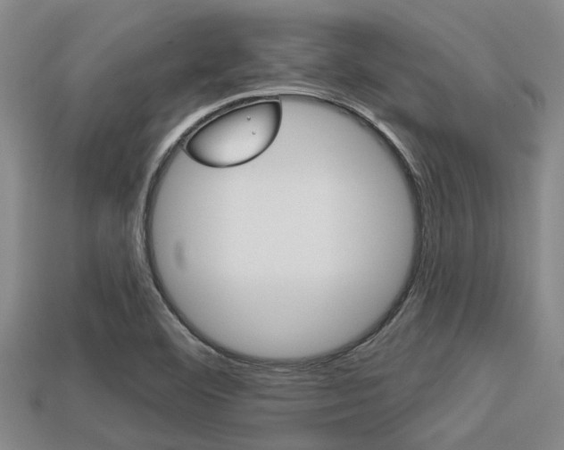 X0000113301460200909140935