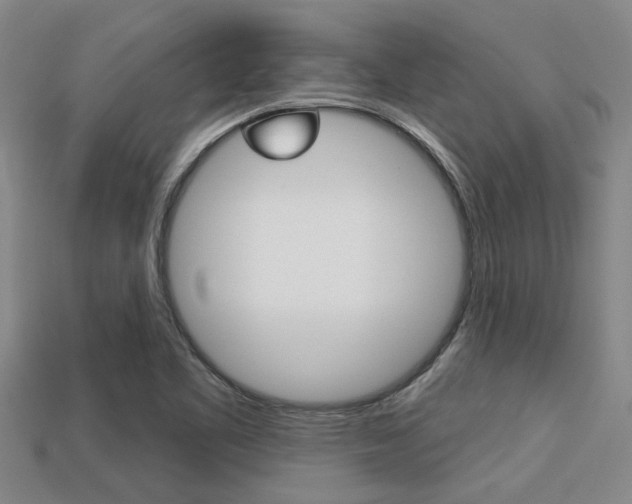 X0000113301461200909140935