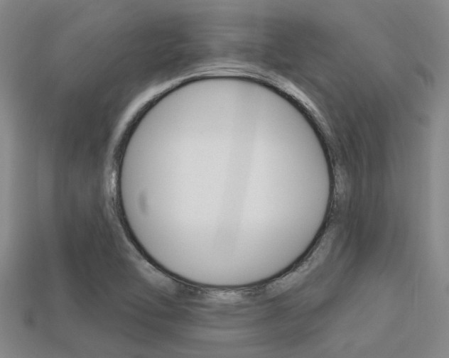 X0000113301462200909140935