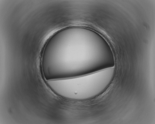 X0000113301463200909140935