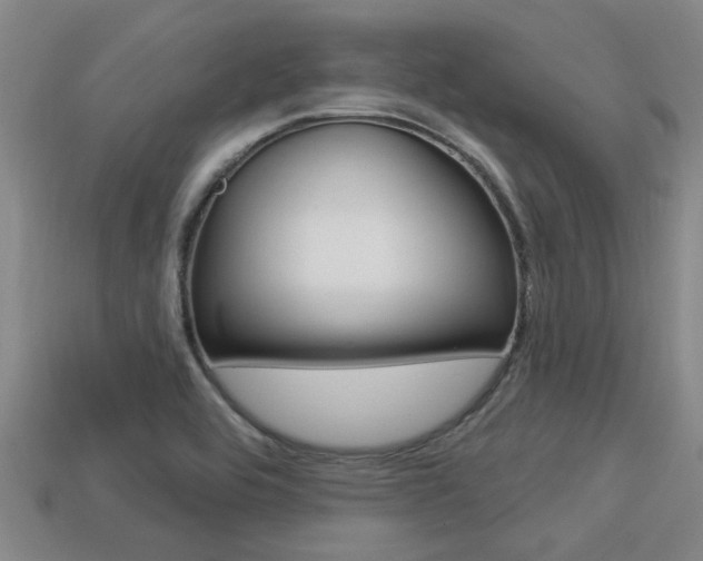 X0000113301464200909140935