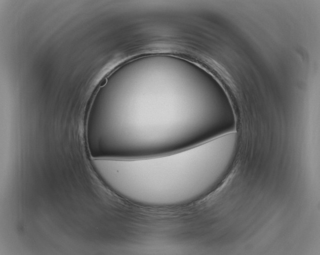 X0000113301465200909140935
