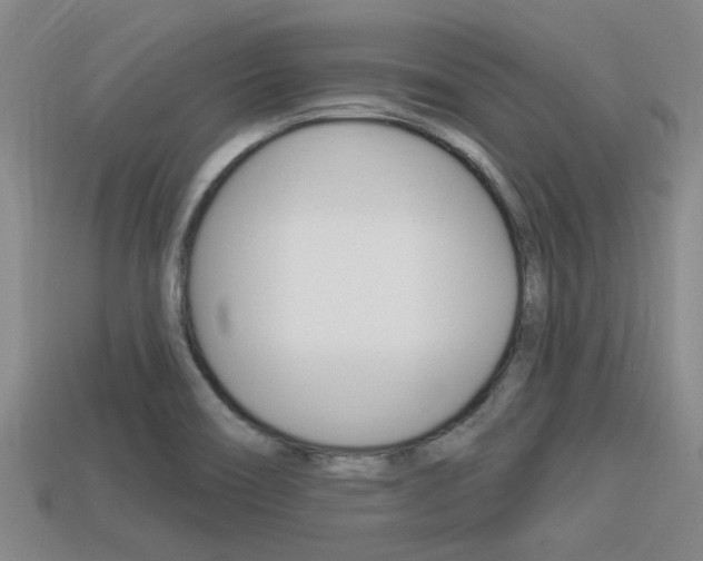 X0000113301466200909140935