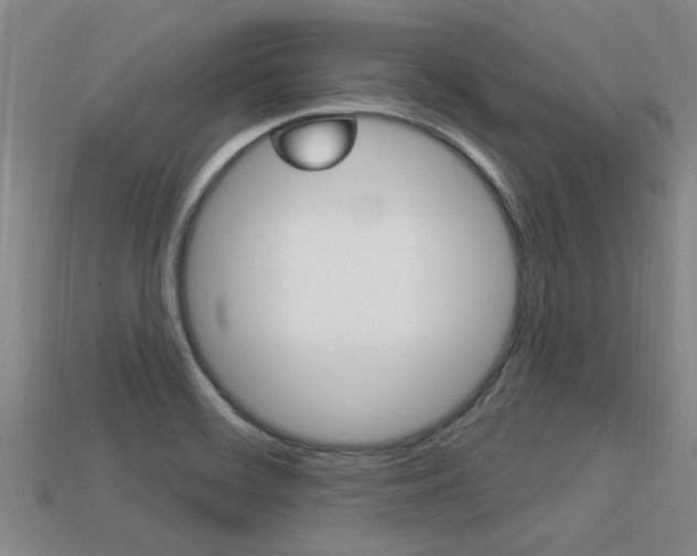 X0000113301468200909140935