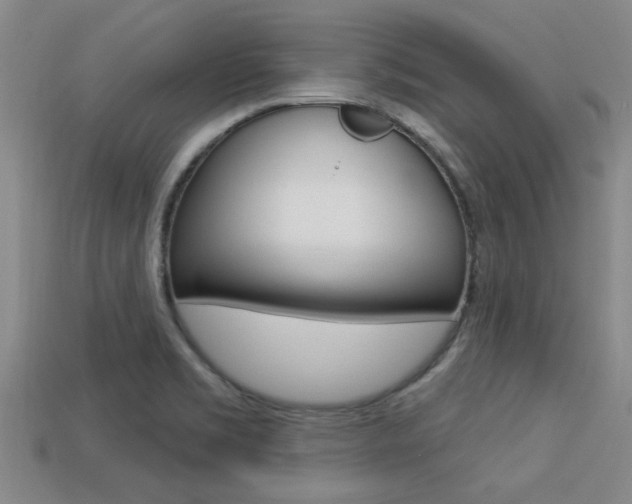 X0000113301469200909140935